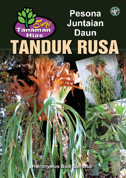 Seri Tanaman Hias; Tanduk Rusa; Pesona Juntaian Daun