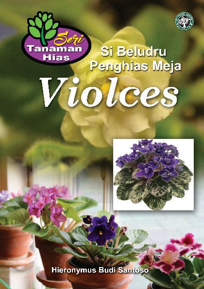 Seri Tanaman Hias; Violces; Si Beludru Penghias Meja