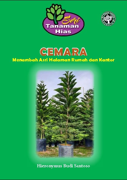 CEMARA Menambah Asri Halaman Rumah dan Kantor