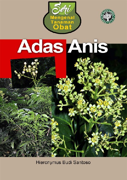 Seri Mengenal Tanaman Obat - Adas Anis