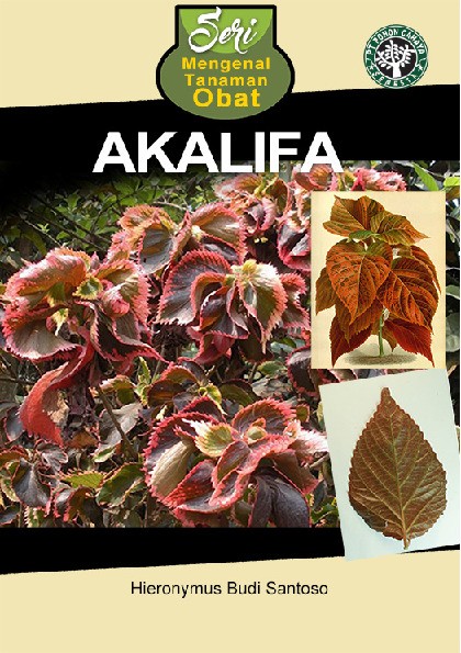 Seri Mengenal Tanaman Obat - Akalifa