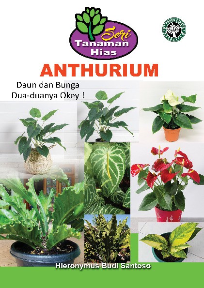 SERI TANAMAN HIAS - ANTHURIUM Daun dan Bunga Dua-duanya Okey!