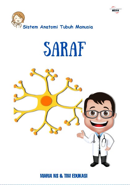 Sistem Anatomi Tubuh Manusia : SARAF