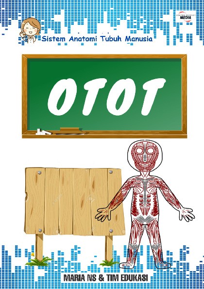 Sistem Anatomi Tubuh Manusia : OTOT