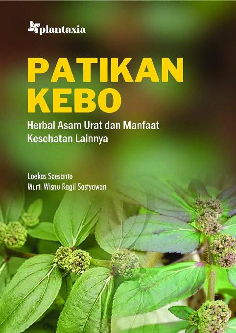 Patikan Kebo; Herbal Asam Urat dan Manfaat Kesehatan Lainnya